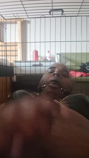 Horny bitch in a cage with gag ball
