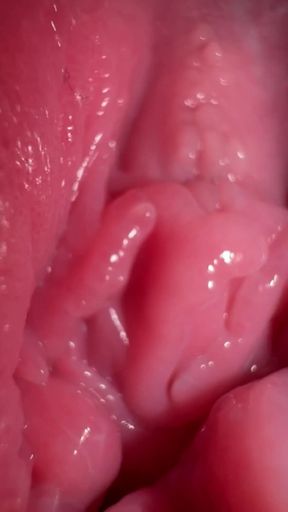 Extremely close up pussy worship