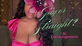 Gay or Straight? Bi Encouragement