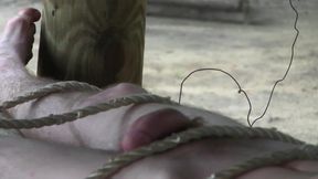 Tree Stand Tease - Chapter 2