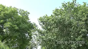 Skinny girl gives head and rides cock on first date