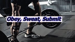 Obey Sweat Submit