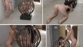 Our new round cage - wmv 720p