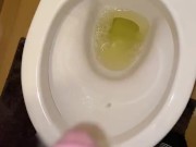 おしっこするだけの動画
