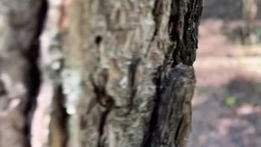 amateur boy caught jerking-off in the woods