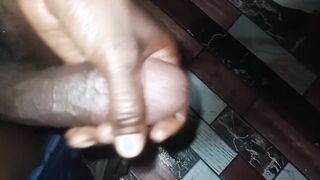 Lengthy ebony glossy salami