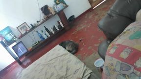 Step Mum Is Having Milk Shake After Having Shower