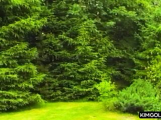 Leidenschaftlicher Outdoor-Fick mit geiler Frau