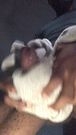 Fuck’d Real Pocket Pussy Hot Doggystyle Sex  PT 4