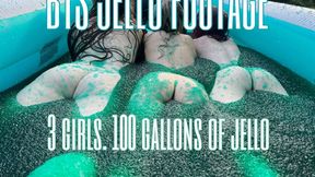 Female jello wrestling: behind the scenes