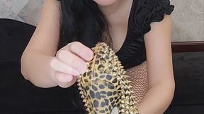 JOI BUST your NUTS to my SPIKE HIGH HEELS, WANKER!!