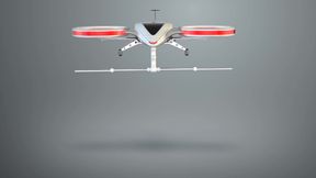 Close-up Shot of Pussy