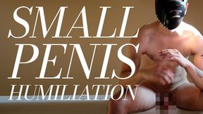 Real Size Comparison SPH: Alpha Cock, Beta Verdict (Small Penis Humiliation, Dominant male, Humiliation, Loser)