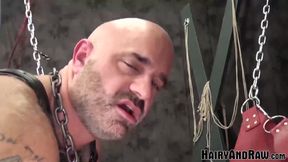 Hairy And Raw - Bareback debauchery in the dungeon with Sam Wise and John Lock