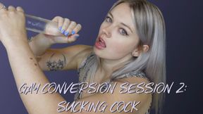 Gay Conversion Session 2: Sucking Cock