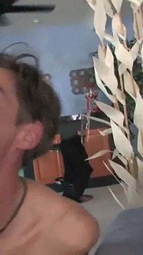 Cocks for Fun