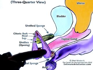 SQUIRTING TUTORIAL two !!! Mr PussyLicking