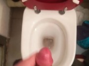 Just a cumshot over the toilet bowl