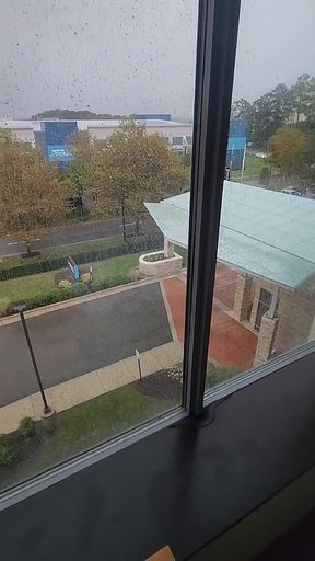 Fucking the Girl in the Hotel Window