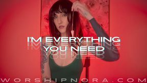 I'm Everything You Need