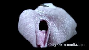 Stepmom Linda and Stepdaughter Nikki Fuck Together