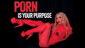 Porn Is Your Purpose