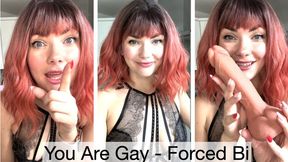 You Are Gay- Imposed Bi