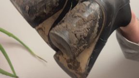 Dirty Boots Dog Walk