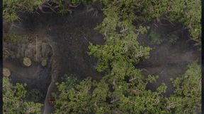 Lust Epidemic - Part 42 Sex with Friend Step-mother by Loveskysan69