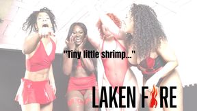 Come for the view, Stay for the Roast 🔥