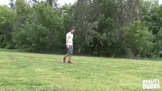 Reality Dudes - Gauge