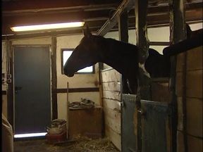 Mature and her girl licking pussy