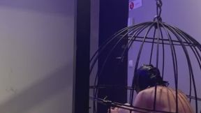 Mistress Erinia humiliates the slave in the cage