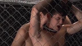 The Cage - 1