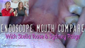 Endoscope Mouth Compare - Stella Rose & Sydney Paige - WMV 720 HD
