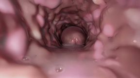This is exactly what your first time having sex will look like! From the outside and from the inside!