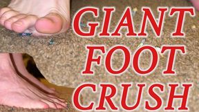 Unaware Giant Foot Crush! - 4K