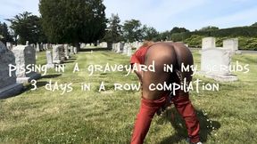 The Graveyard Shift; No Pun Intended ; ) 3 Day Desperation Piss Compilation