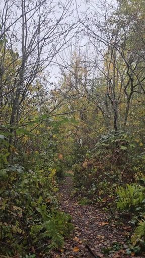 He's in heat again outdoors, his nipples are erect and his penis is dripping wet. He's posing naked on the bridge.