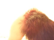 My Foxy Tail 6 Insertion
