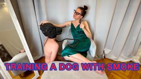 MISTRESS IN GREEN HUMILIATES AND SMOKES RIGHT INTO THE MASK OF A NAKED DOG 4K