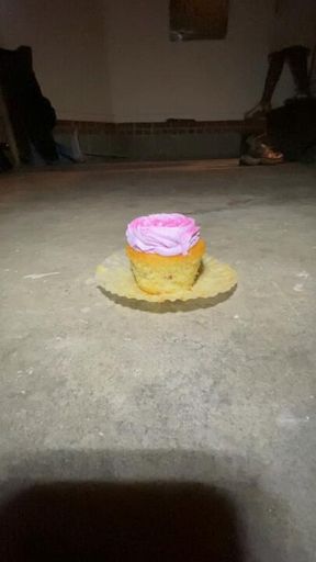 Cupcake Wars