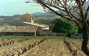 Mom neket xxxii videos, Vicieuse Amandine (1976)