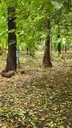 Casual Nude Walking, Chubby Girl Walking Completely Naked in the Jungle
