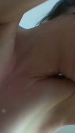 Lana Fever. the Housewife