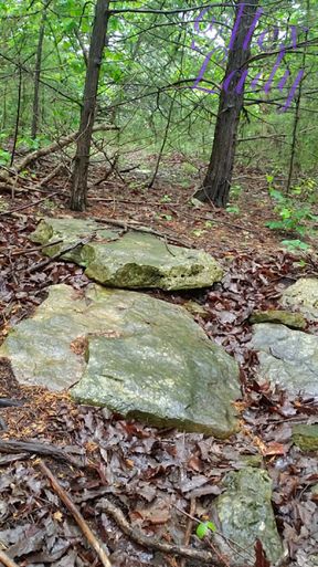 Into The Woods - Part 1