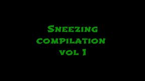 Petite Asian sneezing compilation volume 1 WMV