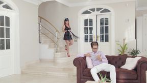 The Best Of Renata Fox