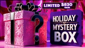 Holiday Mystery Box Three: $830 Value