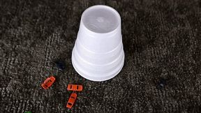 SMD crush a thon part 3 - MOV